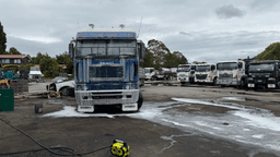 Paint Correction Results